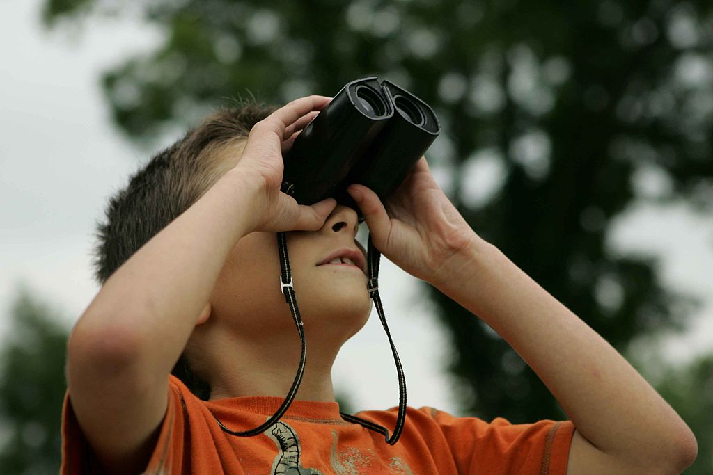 market research for small businesses, trend spotting